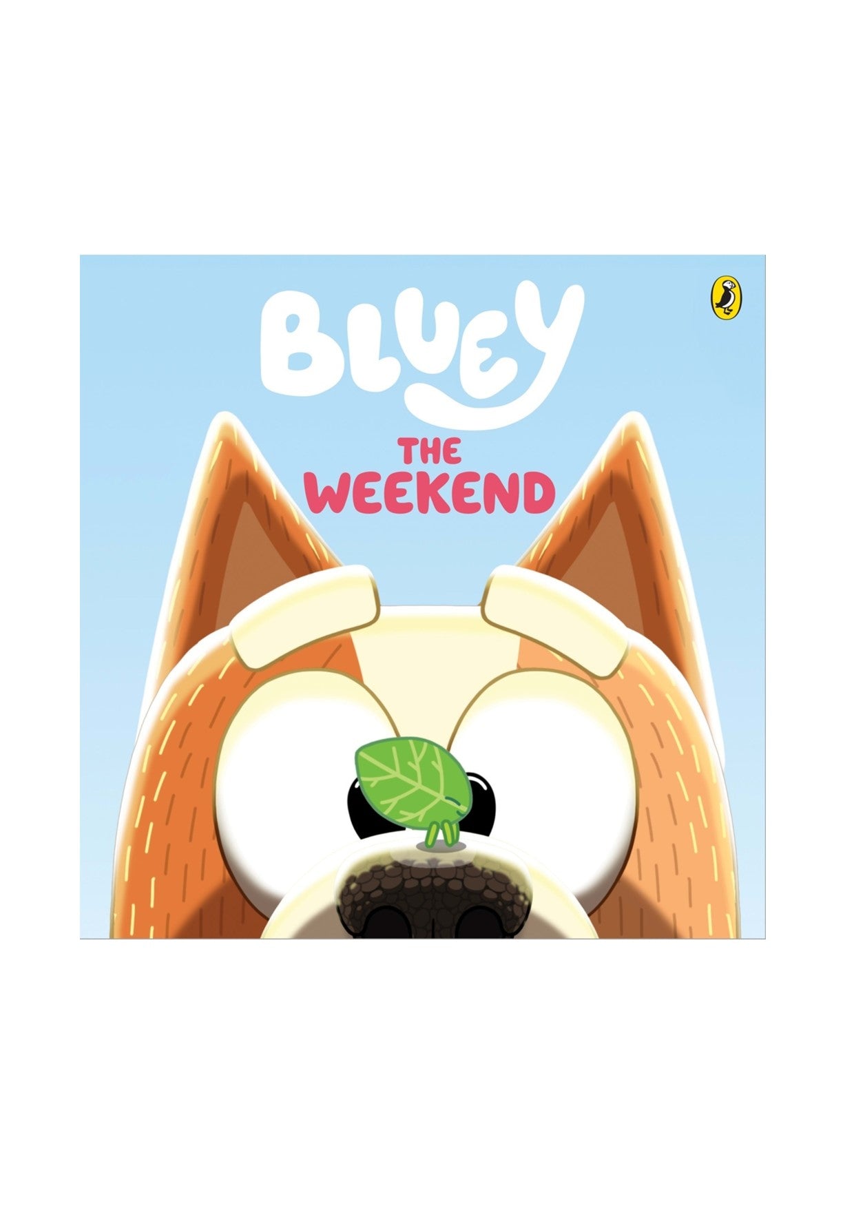 Bluey The Weekend