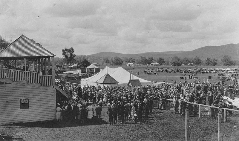 Bingara's First Show – A Wonderful Tribute to a Pioneering Community