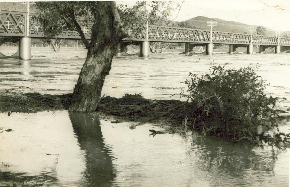 Stranded on Honeymoon Island: The 1949 Flood Story from Bingara Our Town, Our People Vol 2