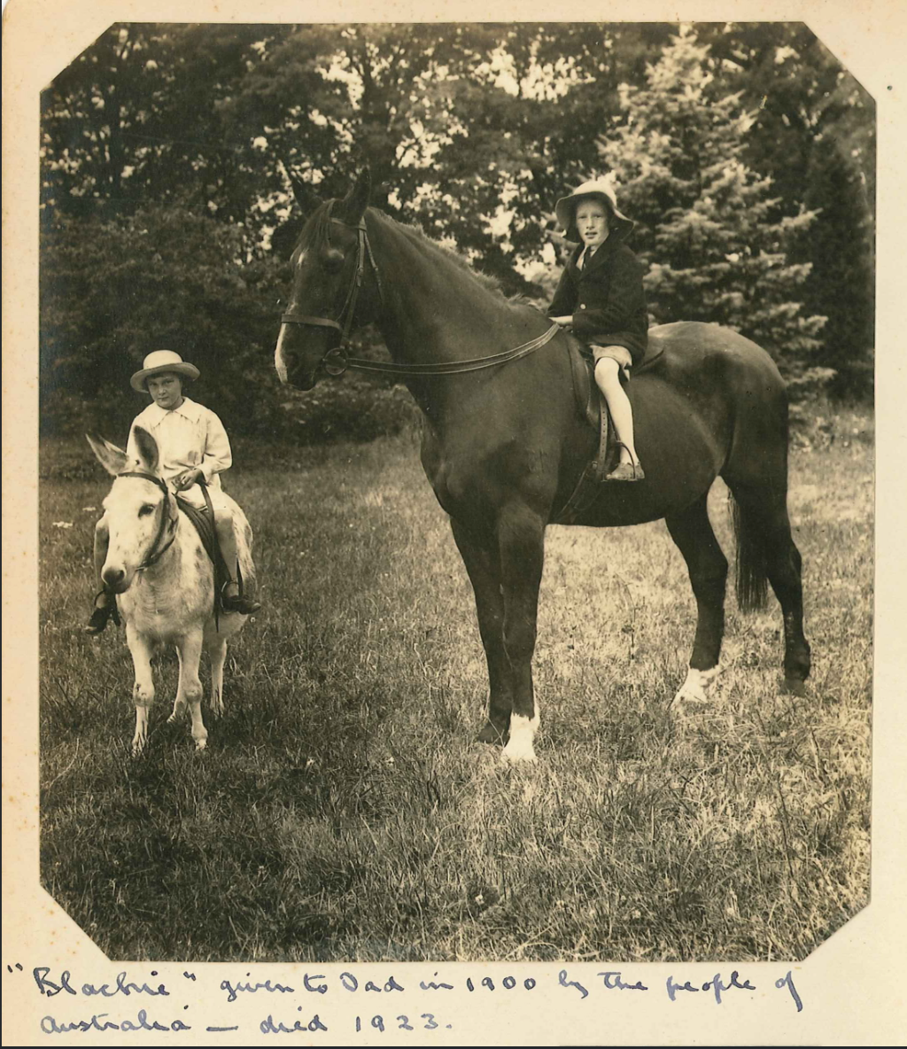Black Prince Blog 3