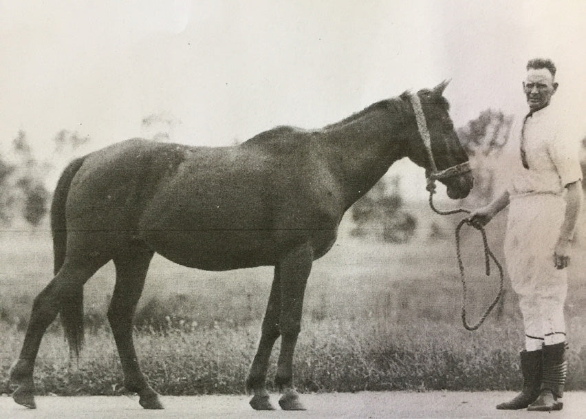 Rocky Ned: Bingara's Greatest Legend — The Horse That Defied Australia