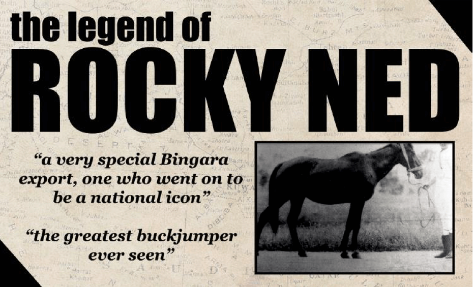 Bingara's Remarkable People – Stories from Our Town, Our People Vol 1