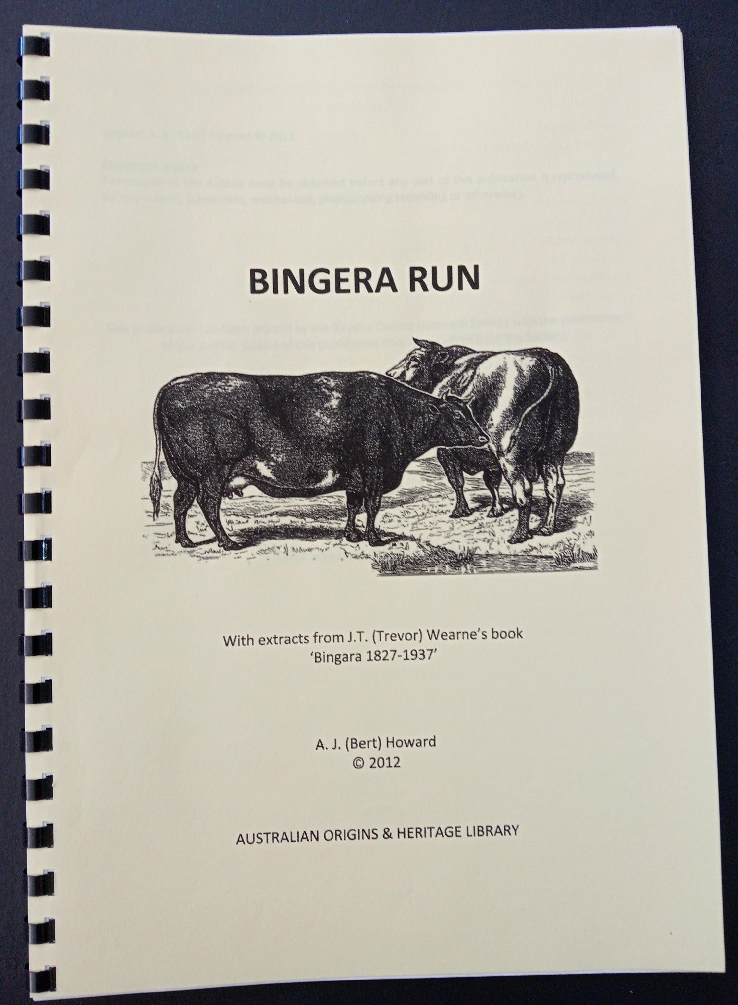 Bingera Run