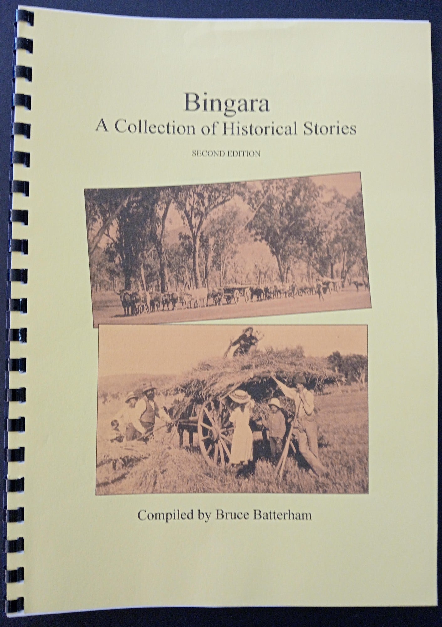 Bingara A collection ofHistorica Stories