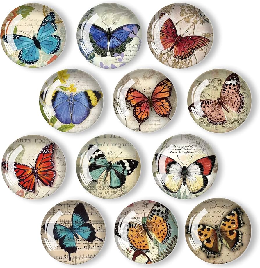 Butterfly Glass Magnet 5cm: 